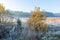 Beautiful morning with frost on plants. Autumnal landscape.