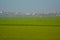 Beautiful morning landscape over green rice fields. In the back hills with a village surrounded by mist