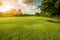 beautiful morning light in public park with grass field and green environment use as background,backdrop