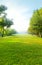 Beautiful morning light in public park with green grass field an