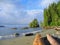 Beautiful Morning Light at Thrasher Cove, West Coast Trail, Pacific Rim National Park, Vancouver Island, British Columbia, Canada