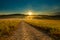 Beautiful morning mist hangs low over a dry rural road in a grassland and trees