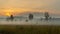 Beautiful morning mist hangs low over a grassland and trees