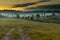 Beautiful morning mist hangs low over a grassland and trees