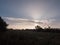 Beautiful morning rising sun over field with trees through cloud