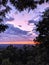 Beautiful Morning Sunrise Framed By Trees