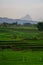 Beautiful morning view indonesia panorama landscape paddy fields with beauty color and sky natural light