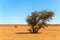 Beautiful Moroccan Mountain landscape with acacia tree in foreground