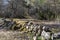 Beautiful mossy old dry stone wall