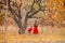 Beautiful mother in a long dress is swinging on a hinged swing little daughter in a red coat in an autumn garden near an old gnarl