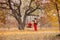 Beautiful mother in a long dress is swinging on a hinged swing little daughter in a red coat in an autumn garden near an old gnarl