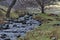 Beautiful motion blurred water stream landscape in the winter forest close up, Vitosha mountain