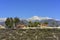 Beautiful Mount Baldy view from Rancho Cucamonga