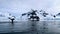 Beautiful mountain in Antarctica, with a tail of a humpback whale in the foreground.