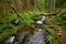 Beautiful mountain creek in a deep forest