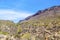 Beautiful mountain desert landscape with cacti