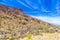 Beautiful mountain desert landscape with cacti