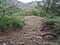 Beautiful mountain hiking trail with tree roots. The forest covers the hills on the background. Crimean mountains