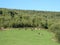 Beautiful mountain landscape. Cows grazing on pasture