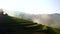 Beautiful Mountain landscape foggy windy mountain range green landscape asian farm. Amazing Landscape mountain green field meadow