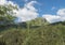 Beautiful mountain landscape with rowen and spruce trees, dwarf scrub pine and sharp green grassy mountain peak. Western