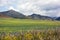 Beautiful mountain landscape - small mountains and hills, yellow field of colza and alfalfa. The sky in the clouds