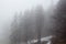 Beautiful mountain landscape with trees completely covered with fog winter panorama