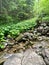 Beautiful mountain landscapes climbing trekking walk tourism Zakopane Poland Slovakia Tatry