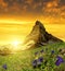 Beautiful mountain Matterhorn in the foreground blooming gentian at sunset