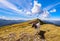 Beautiful mountain panorama with blue sky and clouds, in foreground a goat on the top