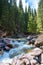 Beautiful mountain river with strong current, foam and water splashes. Beautiful mountain river with spruces forest