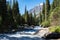Beautiful mountain river with strong current, foam and water splashes. Beautiful mountain river with spruces forest growing around