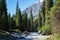Beautiful mountain river with strong current, foam and water splashes. Beautiful mountain river with spruces forest growing around