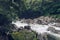 beautiful mountain river torrent in forest