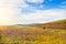 Beautiful mountain scenery, landscape. Wicklow Mountains National Park, County Wicklow, Ireland.