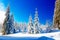 Beautiful mountain snowy landscape and snow covered trees. Beautiful sunny day in the mountains.