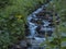 Beautiful mountain stream cascade flows between lush green grass, moss, fern leaves and yellow flowers, Western Tatras