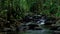 Beautiful mountain stream flow through abundant forests in rainforest Thailand