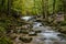 Beautiful mountain stream with small waterfall in autumn forest landscape