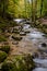 Beautiful mountain stream with small waterfall in autumn forest landscape