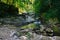 Beautiful mountain stream among southern forests