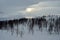 Beautiful mountain winter landscape in the arctic circle wilderness with small mountain birch trees and sunshine behind dense clou