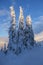 Beautiful mountains and snowy fir treesin clear morning with sunlight