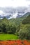 Beautiful mountains and valleys around Cat Cat village in Sapa,Lao Cai Province,north-west Vietnam.