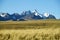 Beautiful mountains view across the field in the Andes, Cordillera Real, Bolivia