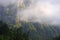 Beautiful mountans valley with forest in fog and clouds