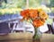 Beautiful multi-colored Geranium flowers in a glass vase on a food table,