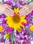 Beautiful multi-colored nail design on women`s hands with a bouquet of sunflower.