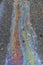 A beautiful multi-colored spot of large sizes from spilled oil products is widely spread on the road