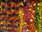 Beautiful multi colored tinsel decorate your home for important festivals